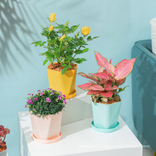 Garden suppliers indoor outdoor small middle size lightweight irregular plastic plant pots flower pots in bulk